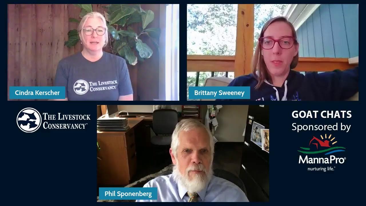 Spanish Goat Chat with Dr. Phil Sponenberg
