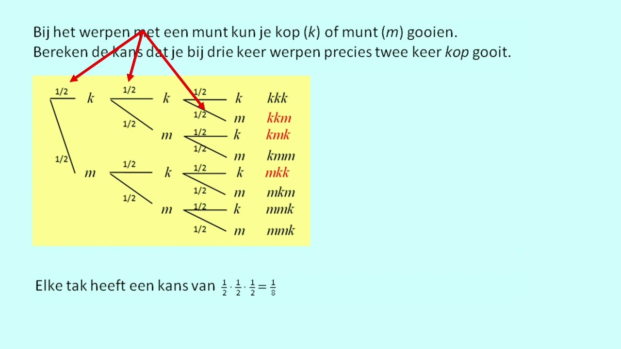 Kansbomen gebruiken