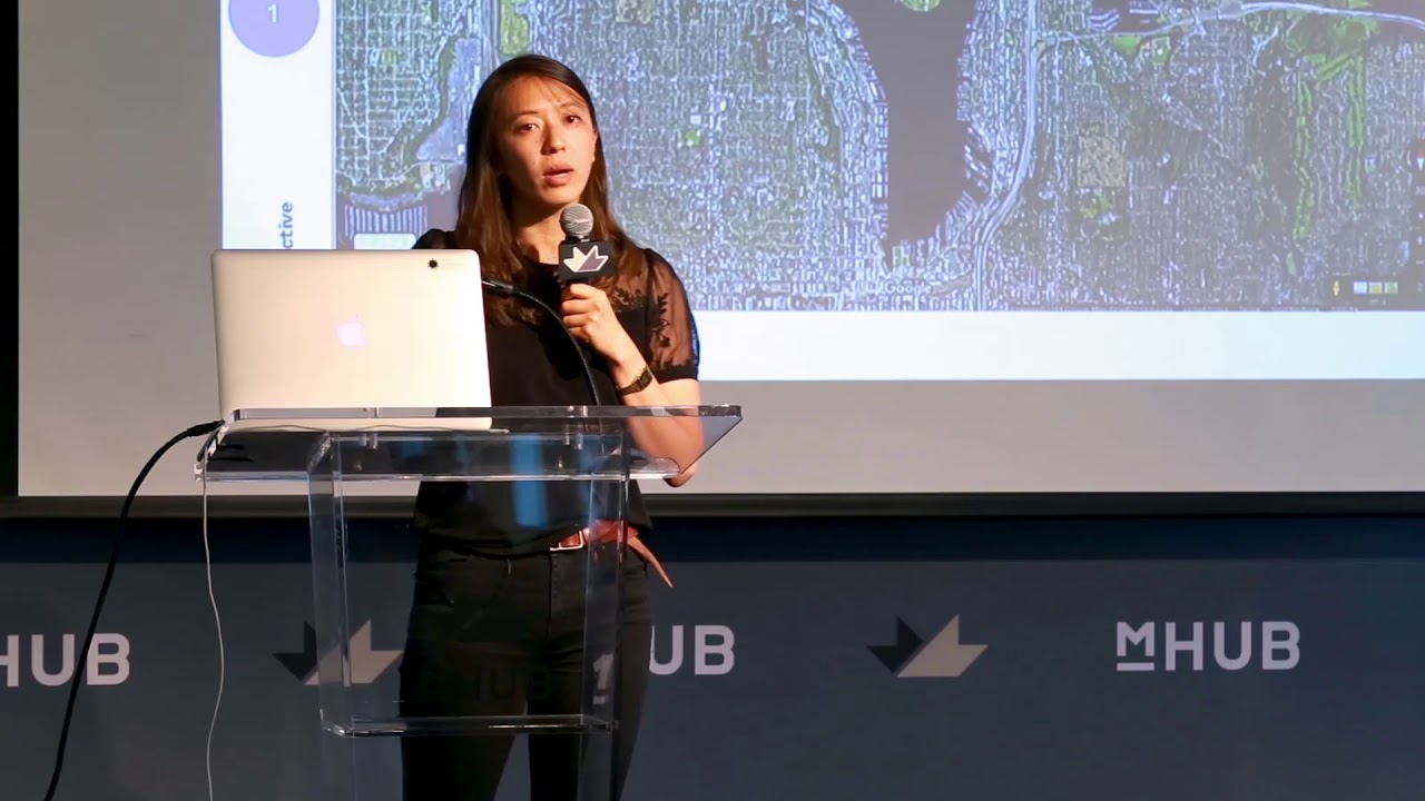 visfest unconf 2019 - Susie Lu