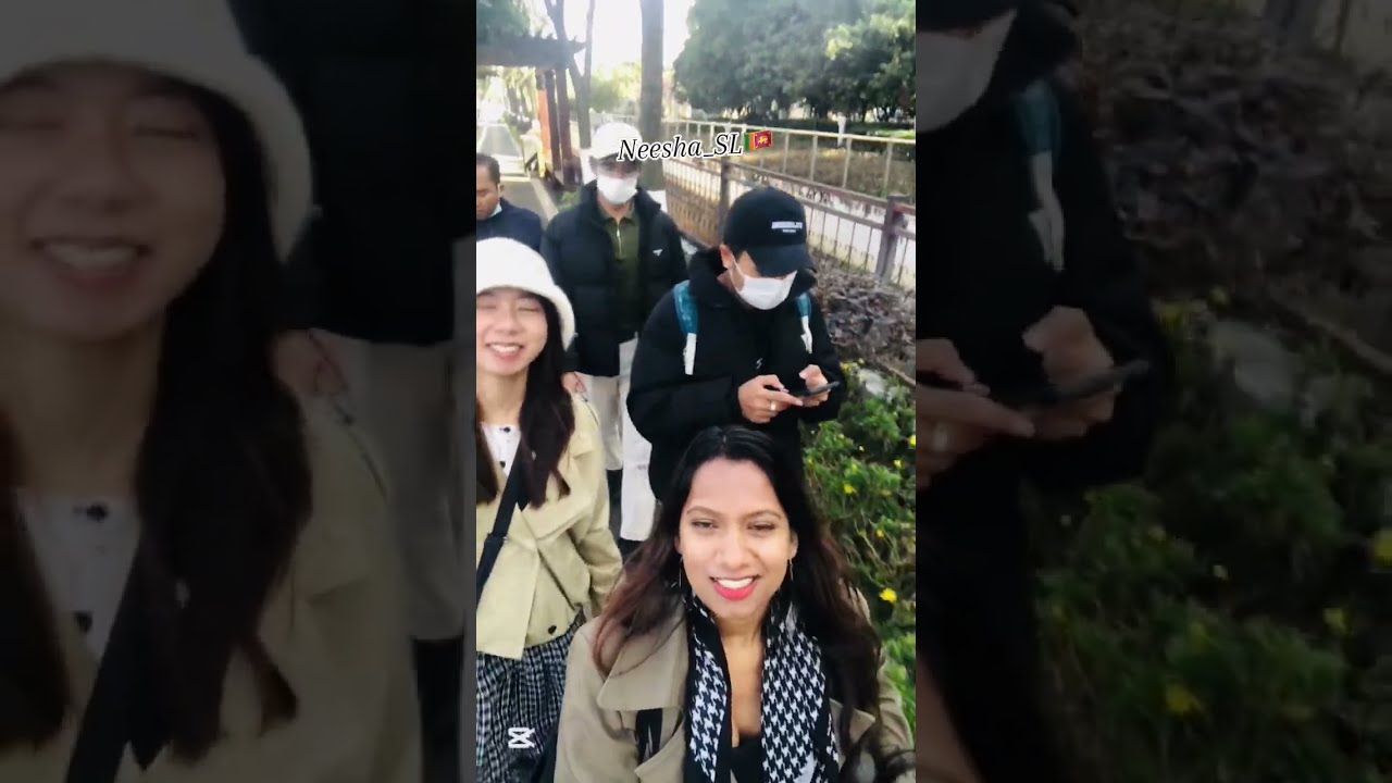 Trip to Kunming flower market 🌹Exploring China
