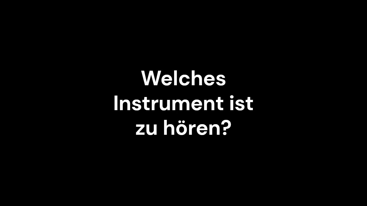 Instrumentenrätsel 4 4