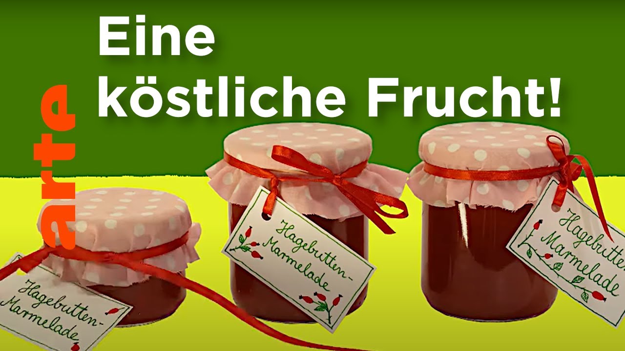 Hagebuttenmarmelade nach ARTE Art | Karambolage | ARTE