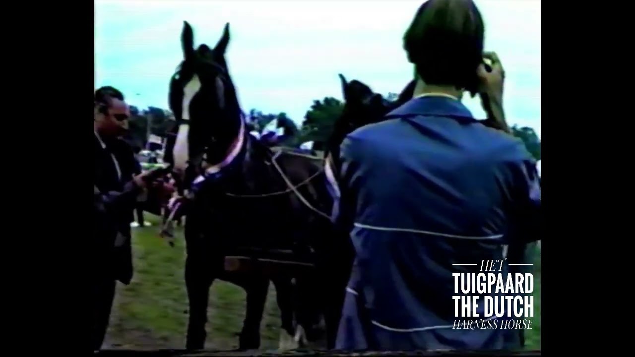 1987 Nationale Tuigpaardendag - Tweespannen merries oogstwagen (Zeeroos en Veraleen)