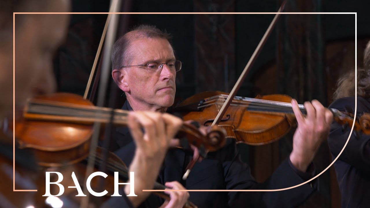 Bach - Concerto from Cantata Geist und Seele wird verwirret BWV 35 | Netherlands Bach Society