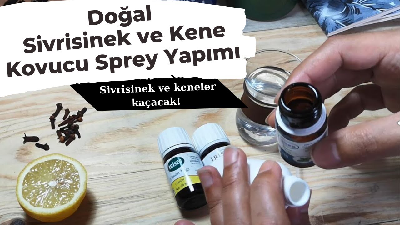 Doğal Sivrisinek ve Kene Kovucu Sprey Yapımı