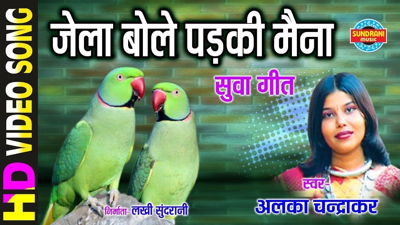 Jela Bolay Padki Maina - जेला बोले पड़की मैना || Alka Chandrakar || Gaura Gauri Darshan || CG Song