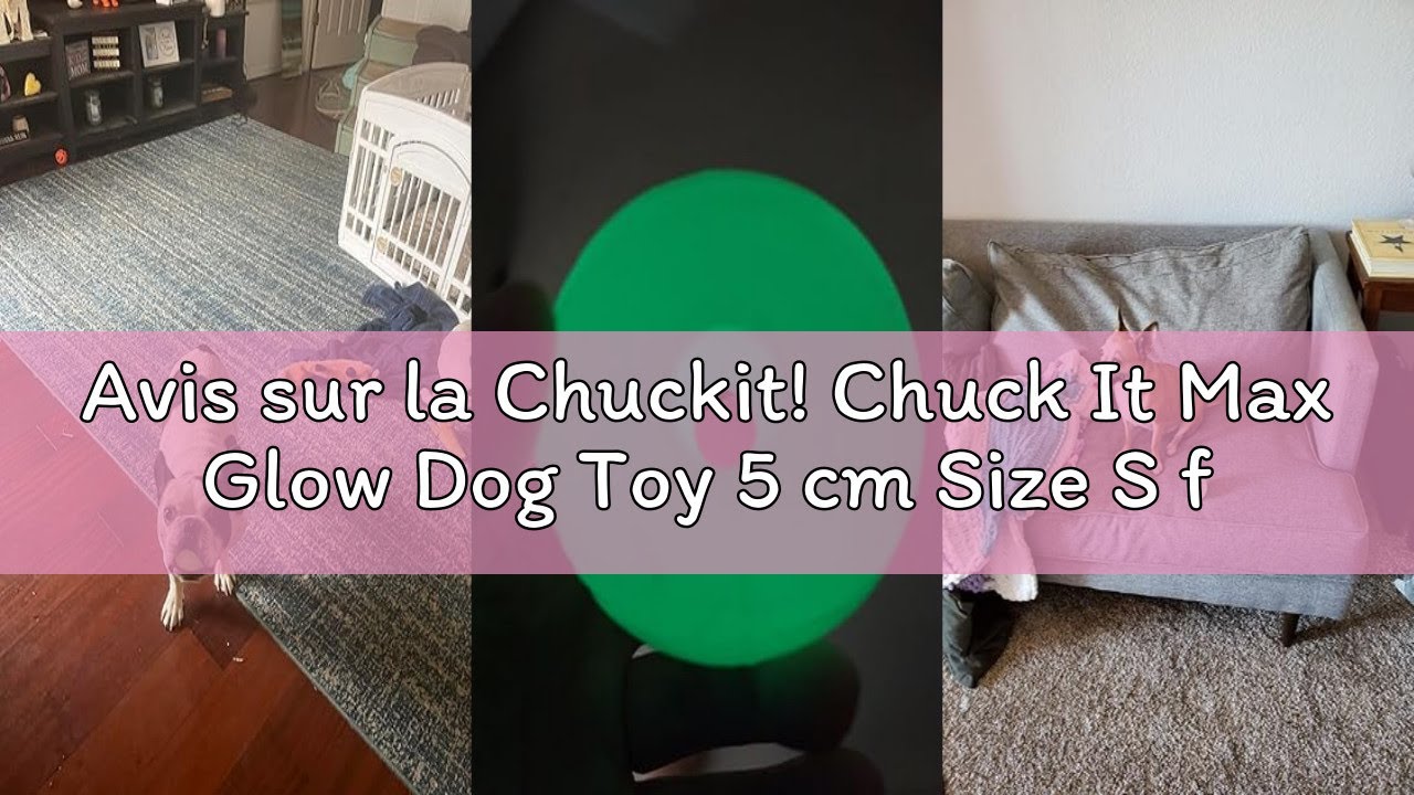 Avis sur la Chuckit! Chuck It Max Glow Dog Toy 5 cm Size S for Dogs 1 Unit