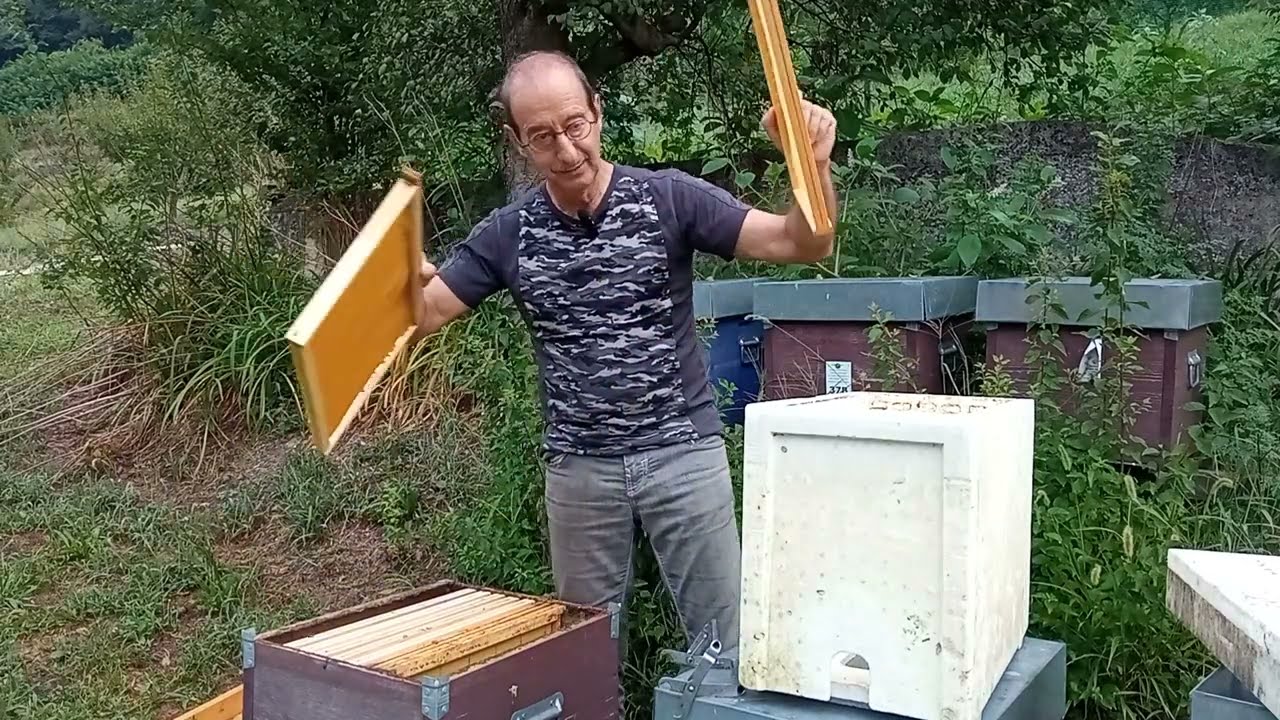 Formazione di nuovi nuclei. Li spostiamo a 3 Km di distanza? Dipende ...
