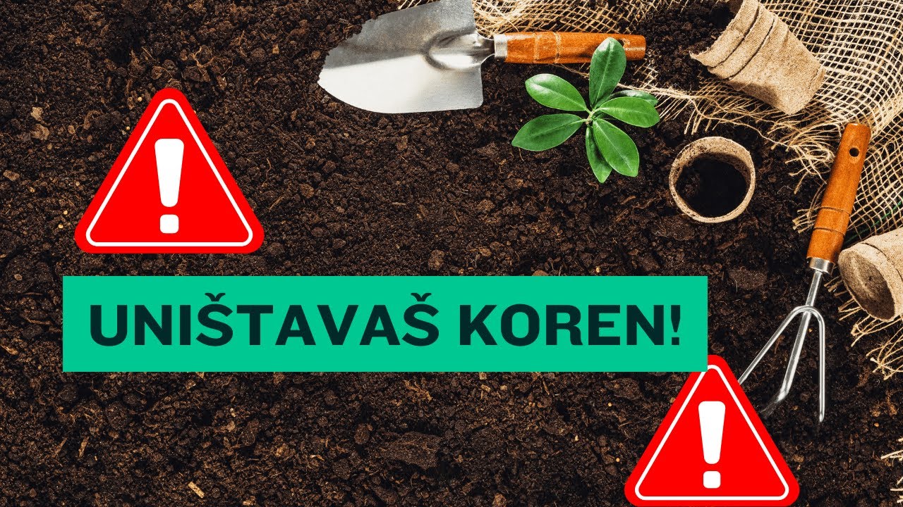 5 nevidljivih gre&scaron;aka koje uni&scaron;tavaju koren biljaka (a skoro svi ih prave)!