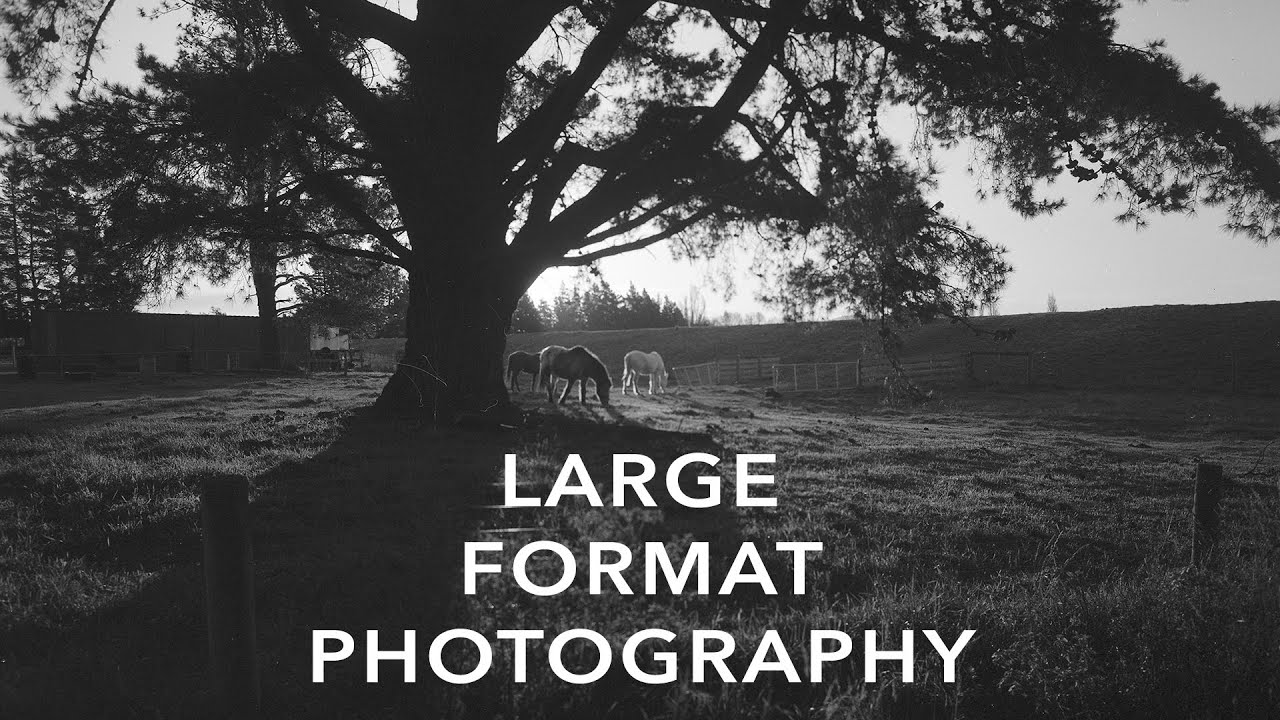 My first year of large format photography.