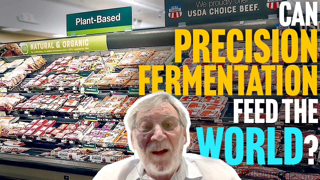 Limits to Growth for Precision Fermentation
