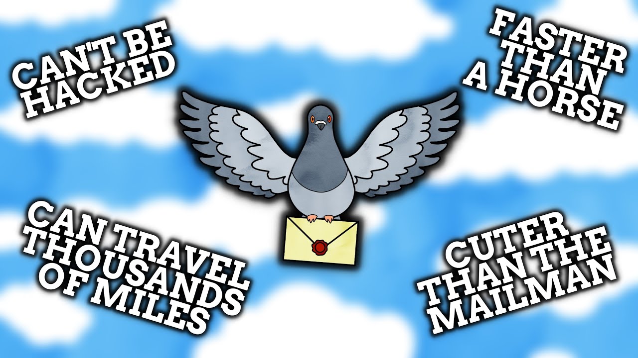 Pigeons Are Peak Communication