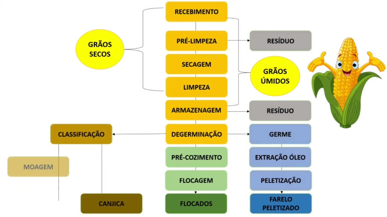 Processamento de gr&atilde;os de milho