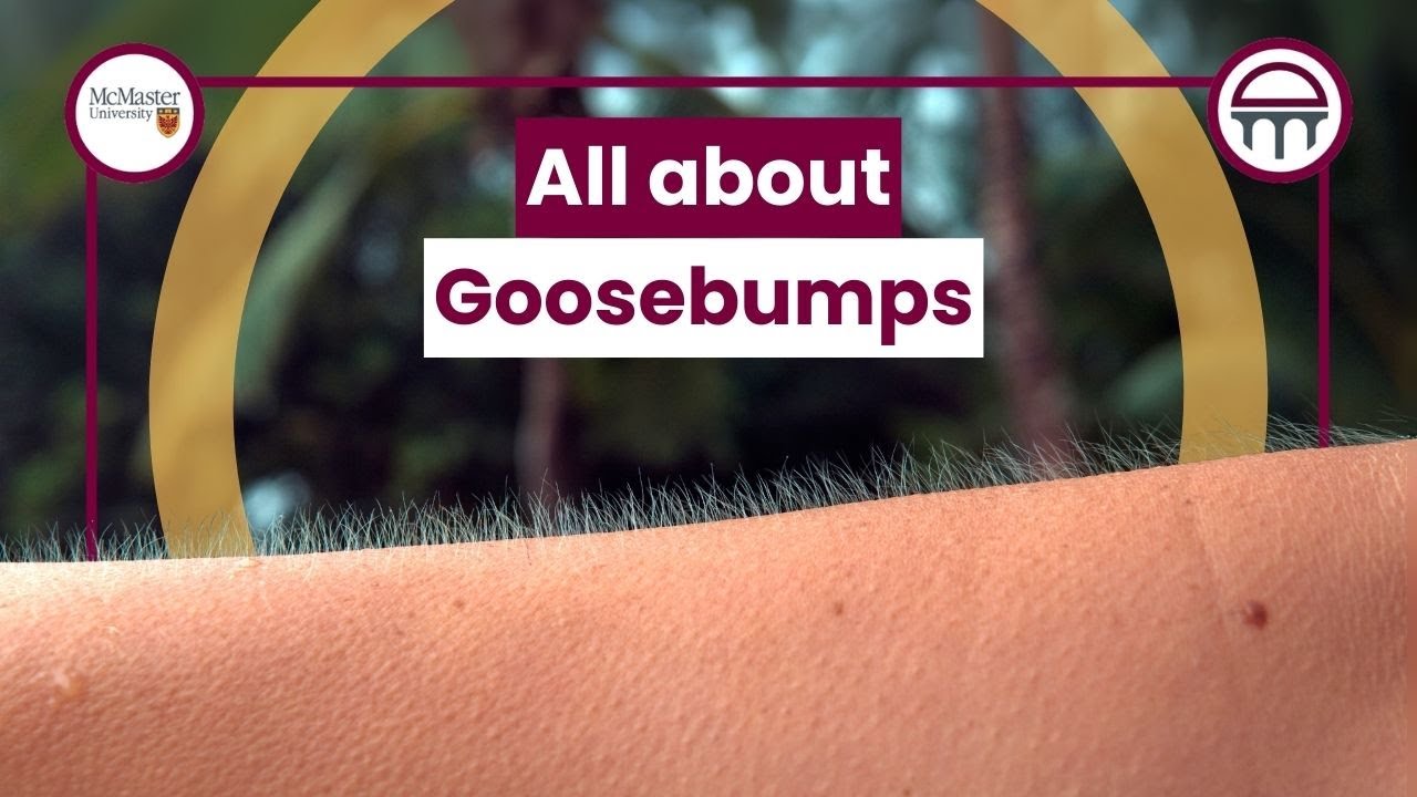 All You Need To Know About Goosebumps