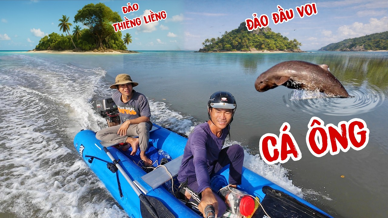 Cá ông nược quý hiếm xuất hiện ngay cửa sông đảo Thiềng Liềng | Truy tìm hòn đảo bị mất tích