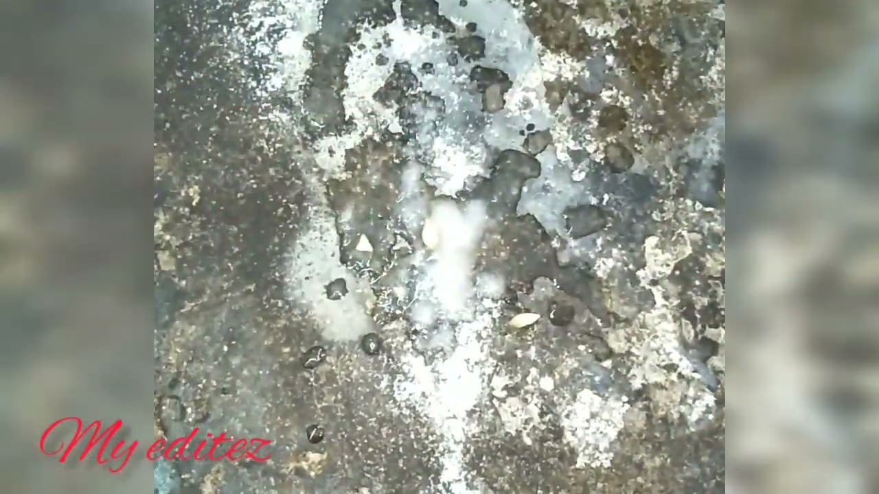 how to remove acid from cement floor using Salt