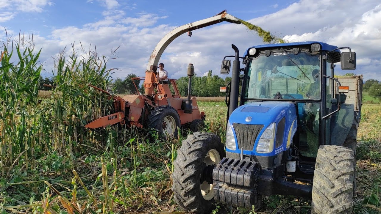 [VERY OLD STYLE SILAGE MAIS 2022] LAVERDA-NEW HOLLAND x2-FIAT