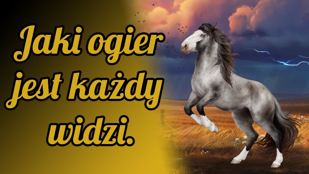 [HR] Jaki ogier jest każdy widzi