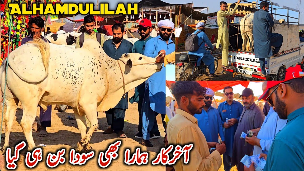 Alhuamdulilah Soda Kar Liya_I-120 Mandi Rawalpindi Islamabad | Bhatta Chowk Mandi