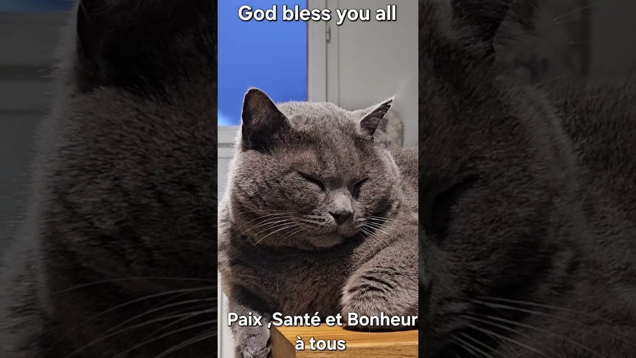 Happy Wednesday, February 4th, 2026 ❤️ Bonne Fête Véronique,... 🌹 🌹 🌹 