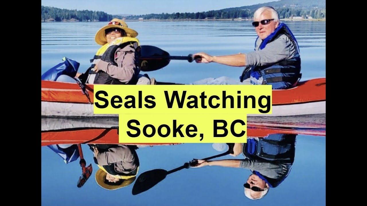 Advanced Elements Inflatable Kayak | Seals Watching | Sooke BC, Canada