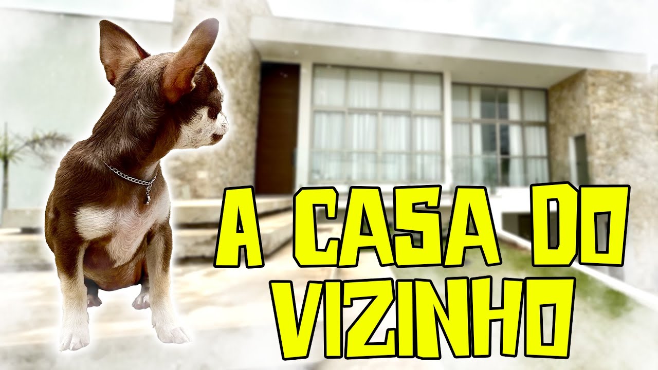 A CASA DO VIZINHO! COMPILADO PEQUENOS PRÍNCIPES + EPISÓDIO FINAL EXCLUSIVO