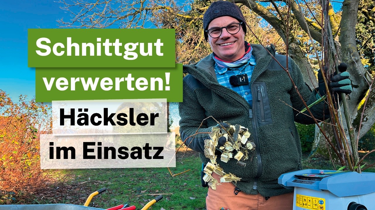🌿 Weidenschnitt & Häcksel-Test: Wohin mit dem ganzen Holz? ILH 3000A von IKRA im Dauereinsatz.