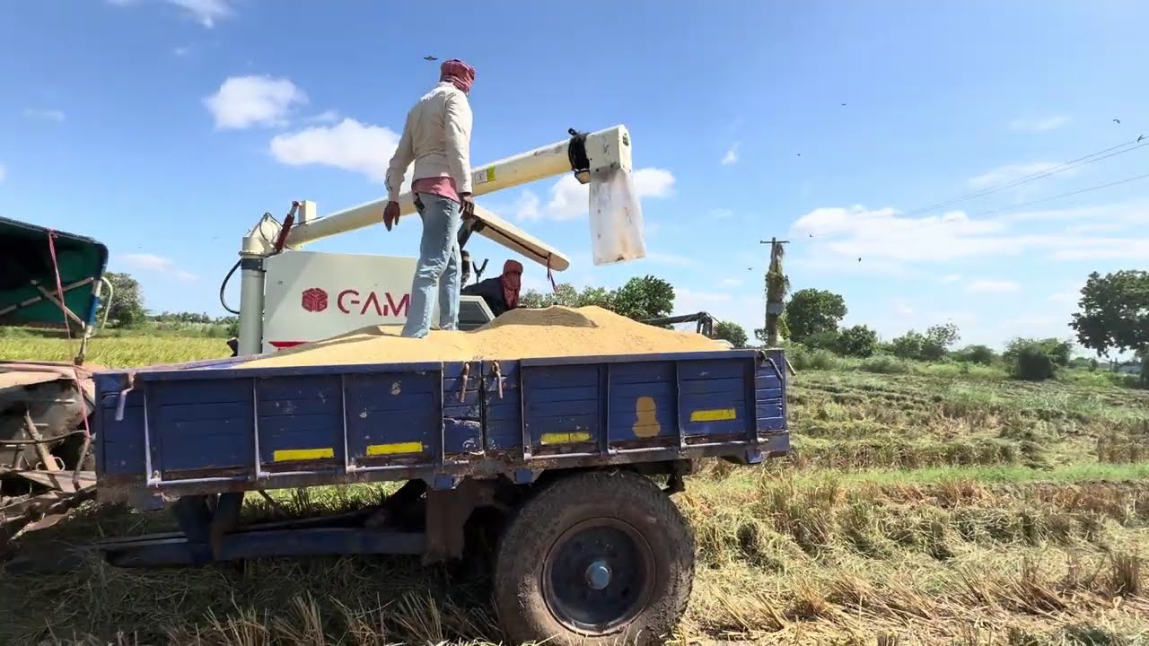 PADDY HARVESTING | KNM 1638 | KHARIF 2025  | PRR | FARMLAND | #prrfarmland