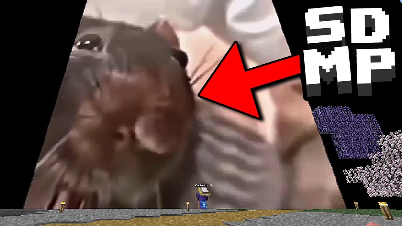 Don't Watch This Video [SDMP]