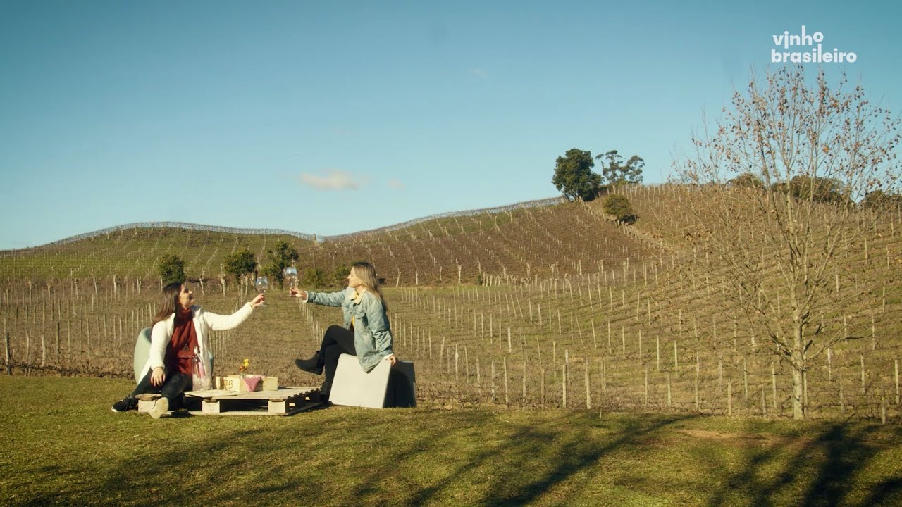 Vale dos Vinhedos e Garibaldi | Turismo do Vinho Brasileiro