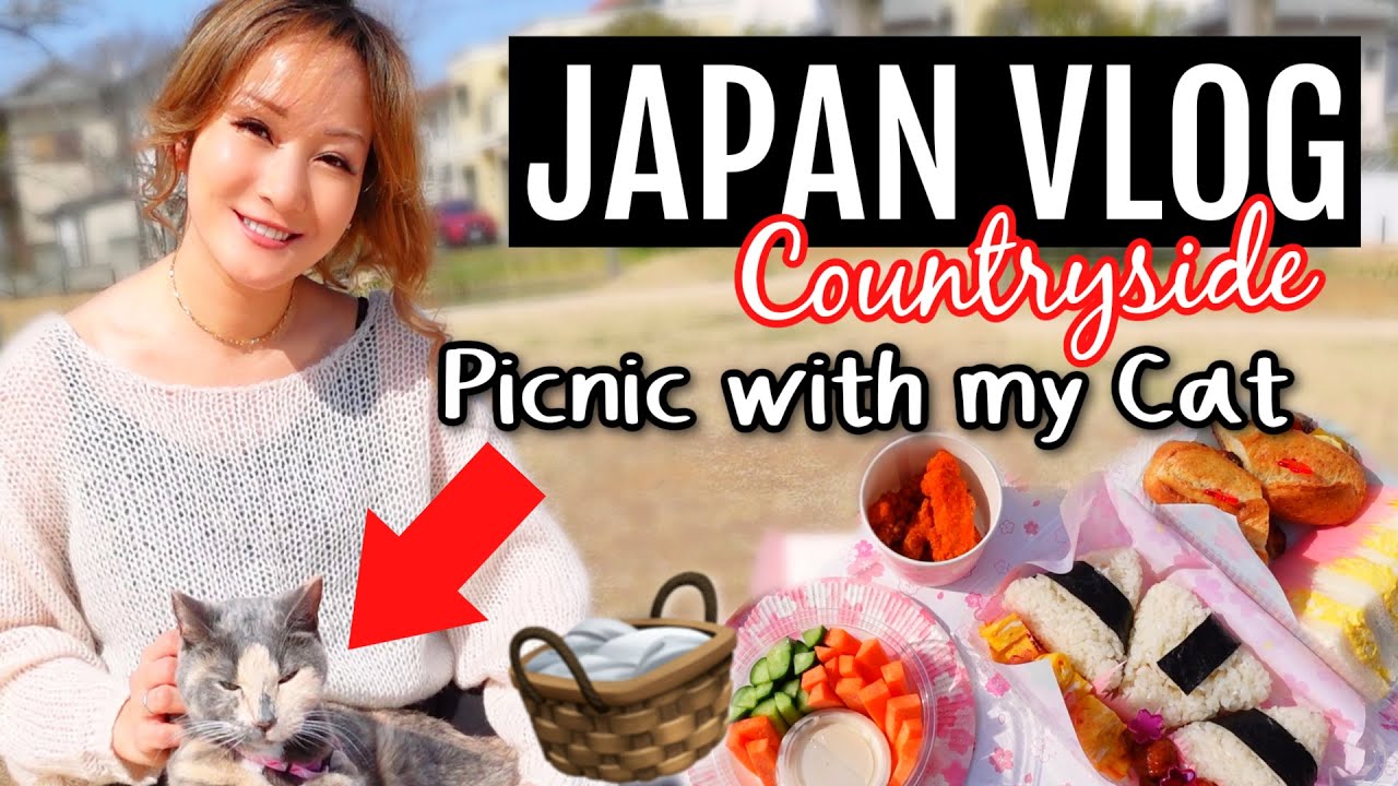 Day in My Life in Japan | I Went on a Picnic With My CAT