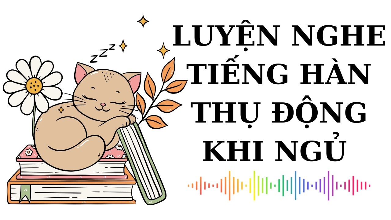🎧 Luyện Nghe Tiếng Hàn Thụ Động Khi Ngủ #24