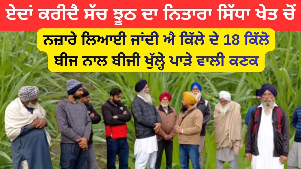 ਆਪ ਕਰੋ ਸੱਚ-ਝੂਠ ਦਾ ਨਿਤਾਰਾ | ਕੀ ਕਹਿੰਦੀ ਕਿੱਲੇ ਦੇ 18 ਕਿੱਲੋ ਬੀਜ ਵਾਲੀ ਕਣਕ ? | Dekho 18 kg acre wali kanak