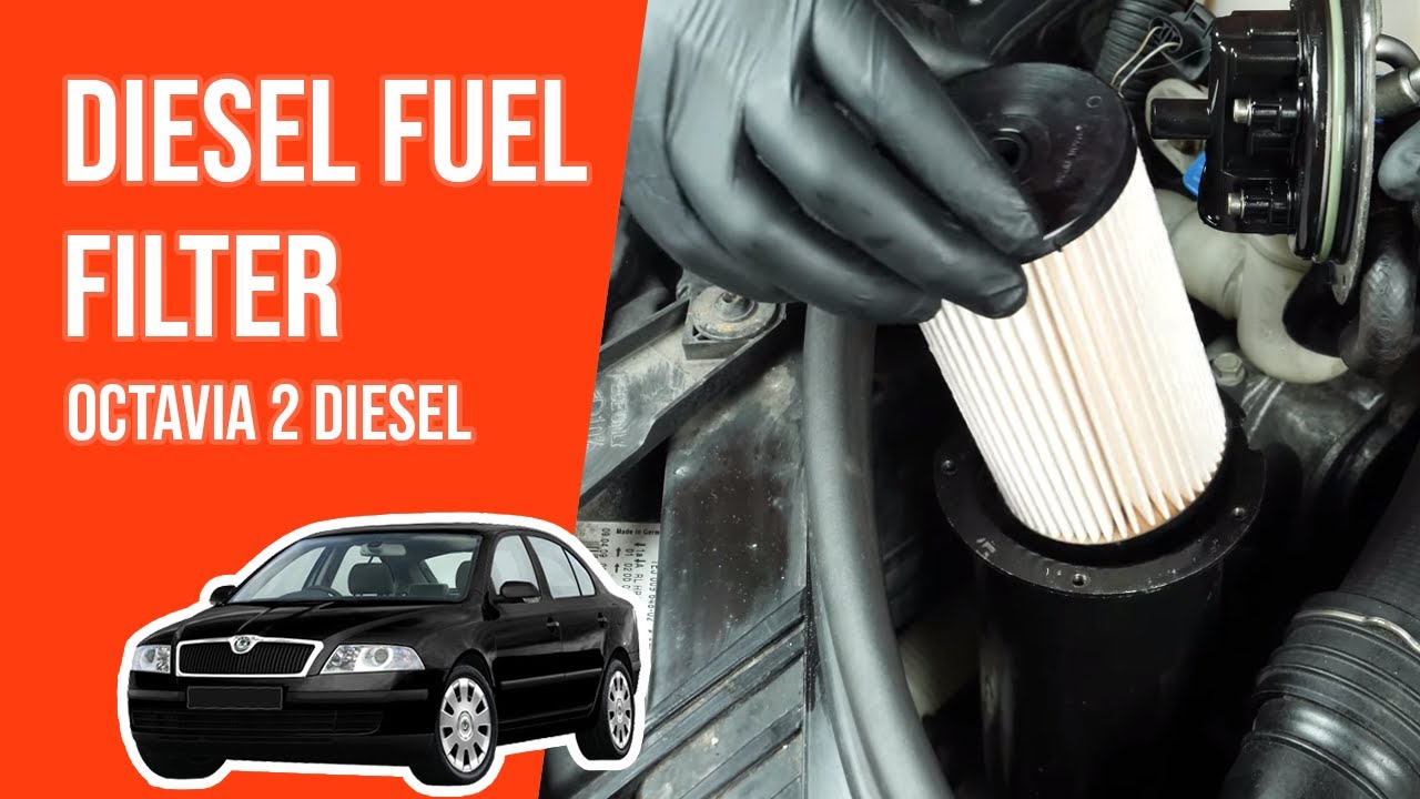 How to replace the diesel fuel filter Octavia mk2 1.9 TDI ⛽