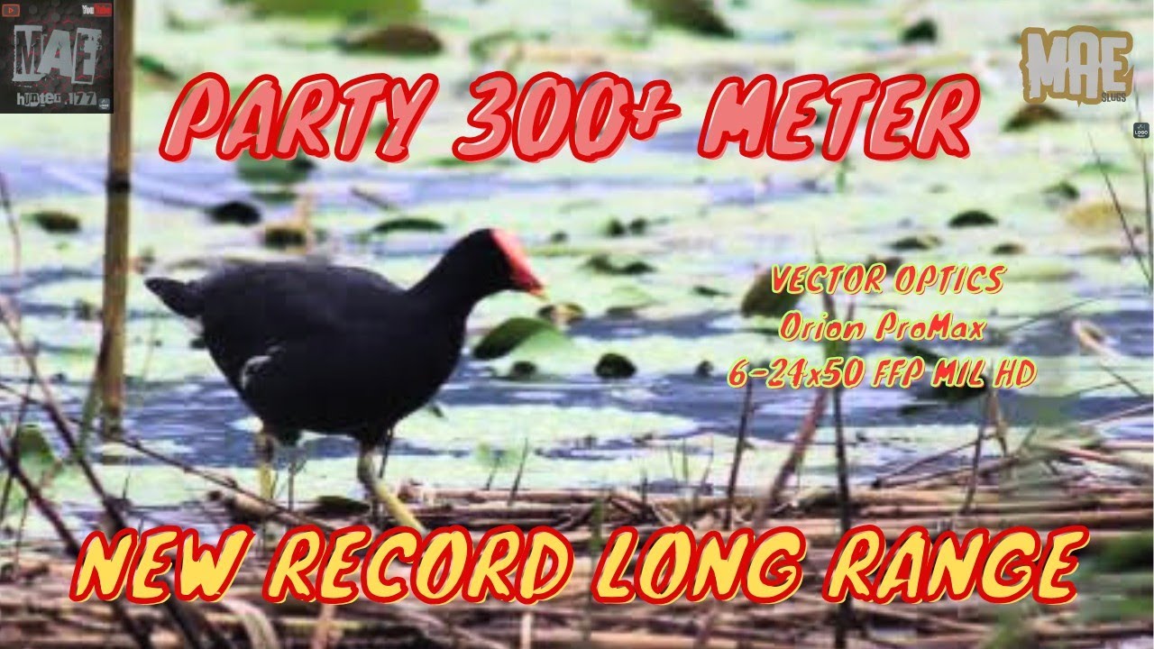 348 meter 3 kali, 344 meter, 300 meter, 297 meter, 194 meter, Full Long Range