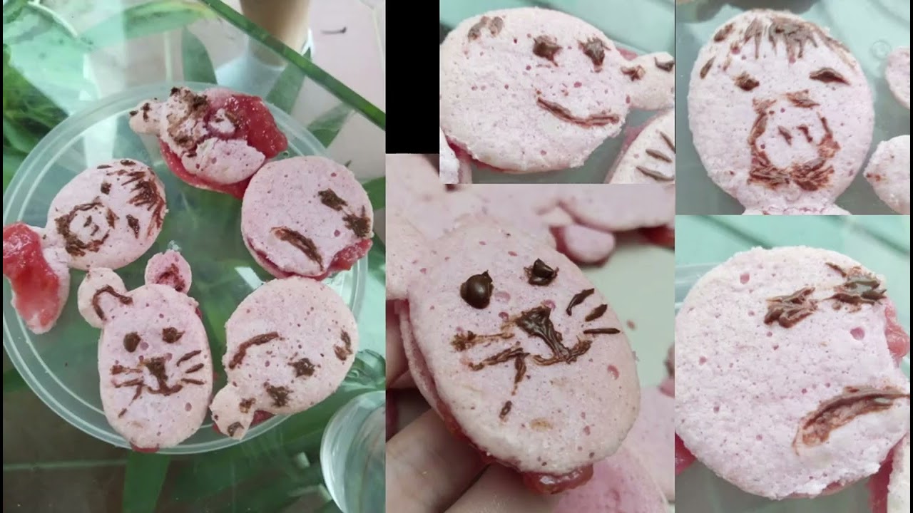 W@W PROJECT (MACARON MASTERS)