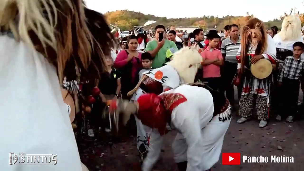 Sones Yoremes Yoremadas