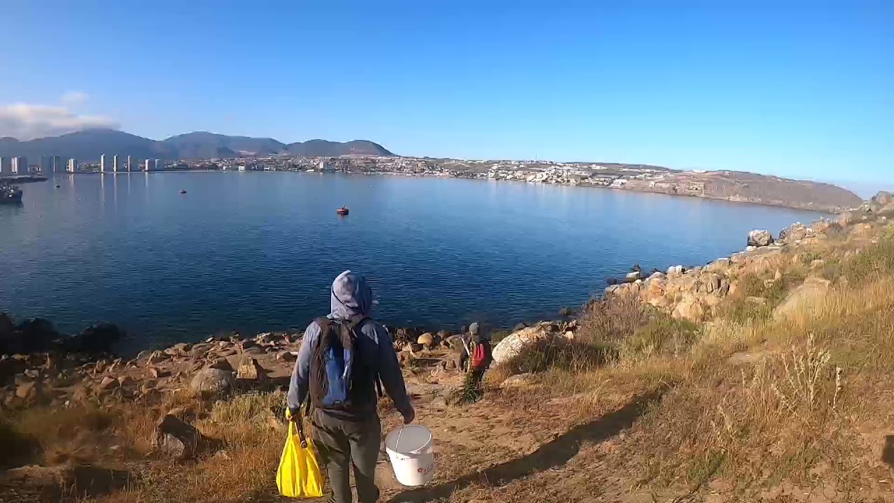 Pesca en rocas Ca&ntilde;as Altas de Coquimbo