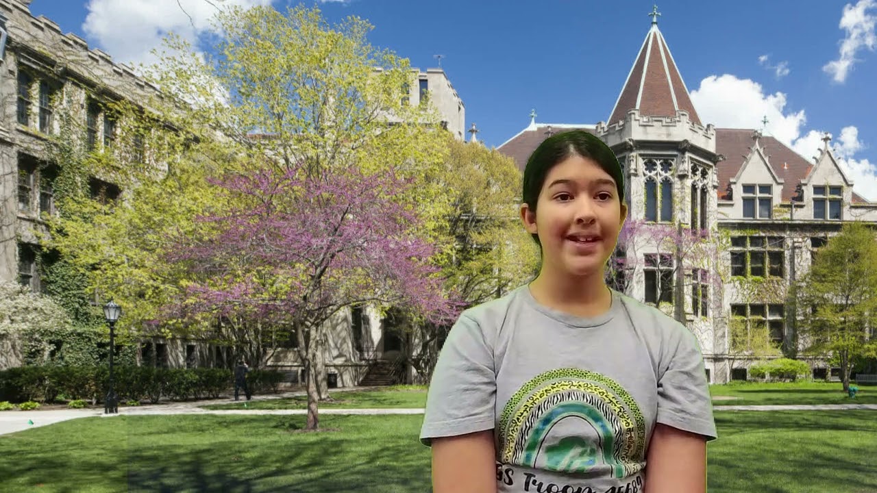 Quest Academy History Series, Part 10