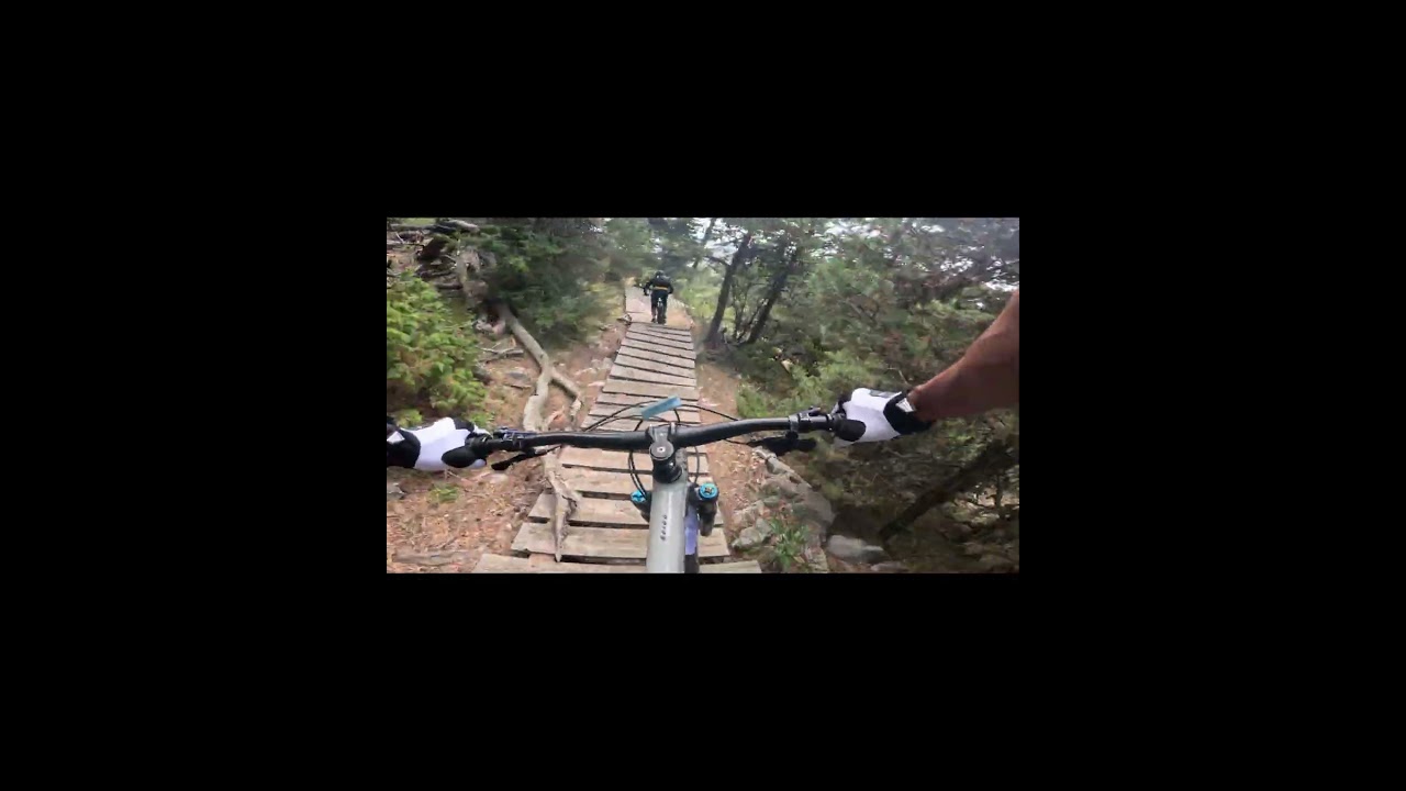 Freeride mountainbike trails. 
