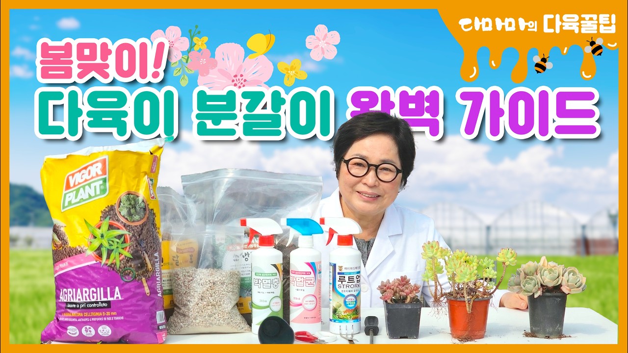 봄맞이! 다육이 분갈이 완벽 가이드[2026.04.01]