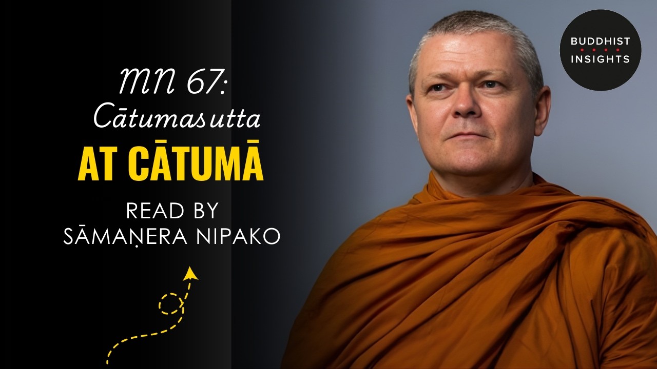 MN 67 - Cātumasutta | At Cātumā - Bhante Sujato Translation