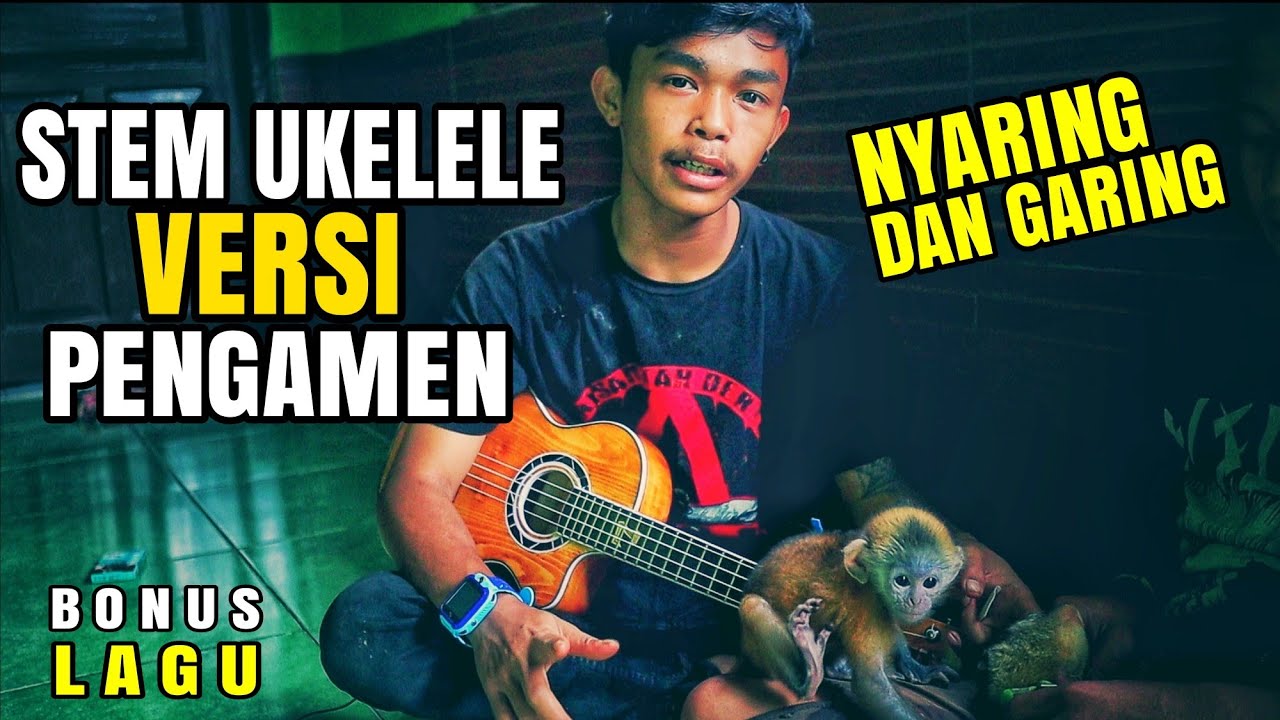KENAPA UKELELE ANAK JALANAN LEBIH NYARING DAN GARING - TERNYATA BEGINI CARANYA