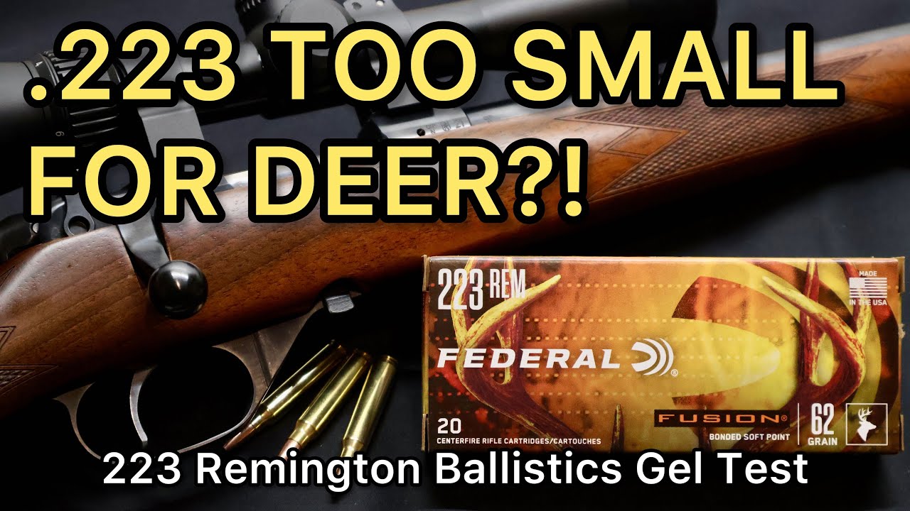 САМЫЙ СЛАБЫЙ .223 ДЛЯ ОЛЕНЯ!! Тест патронов .223 Remington Federal Fusion 62gr
