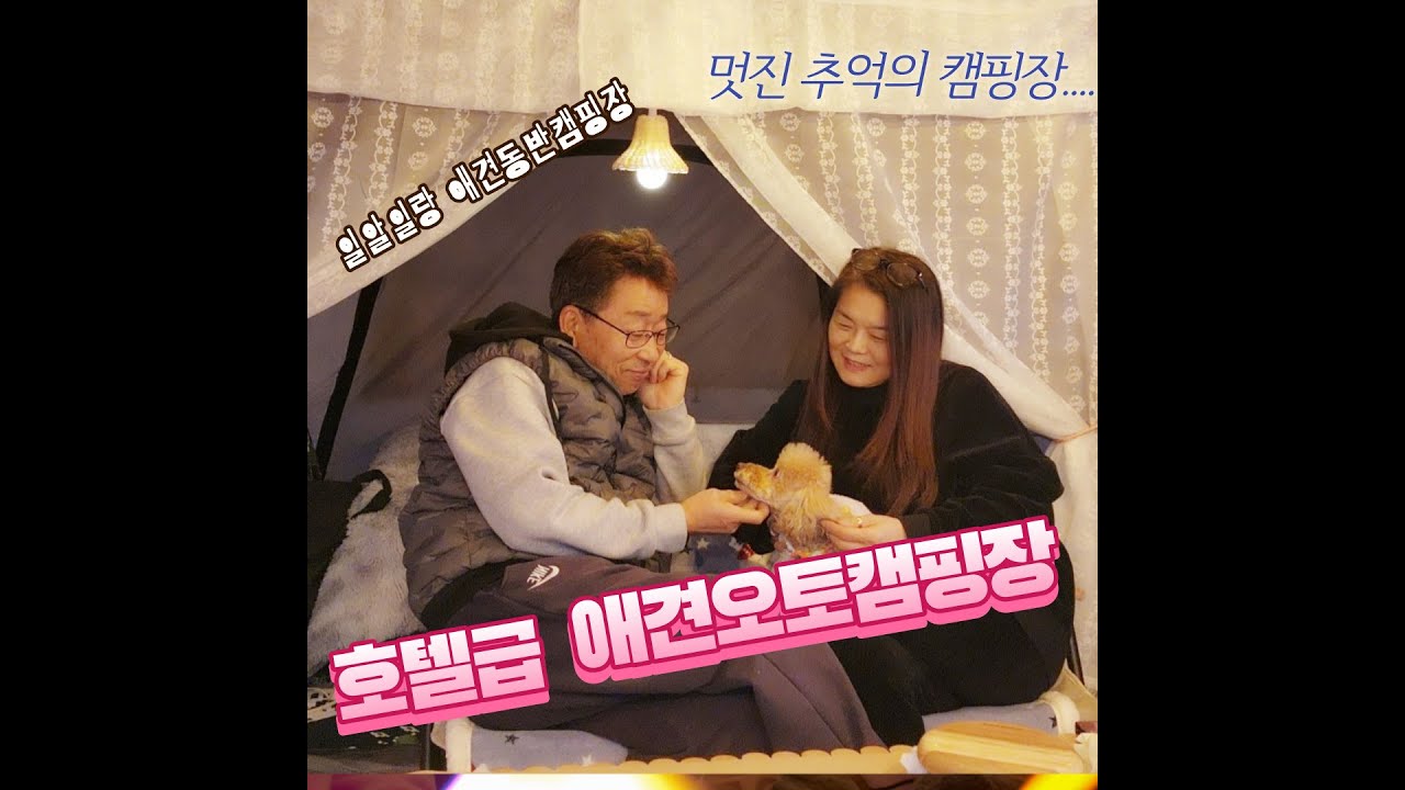 애견을 위한 캠핑장ㅣ반려동물동반ㅣ개별울타리에 개별샤워실, 강아지 목욕실까지 다 있네ㅣ코베아네스트W ㅣ일랑일랑캠핑장 A-3 ㅣ호텔급애견캠핑장