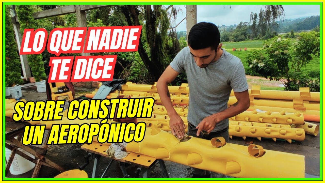 Ep 6| Asi se realiza un cultivo AEROPONICO paso a paso 🚀 #aeroponia  #agricultura #hidropon&iacute;a