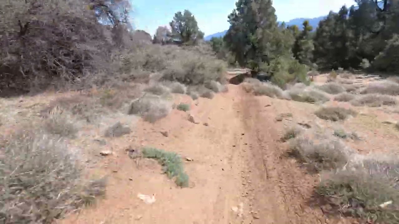 Frazier Mt. on the Surron Ultra Bee