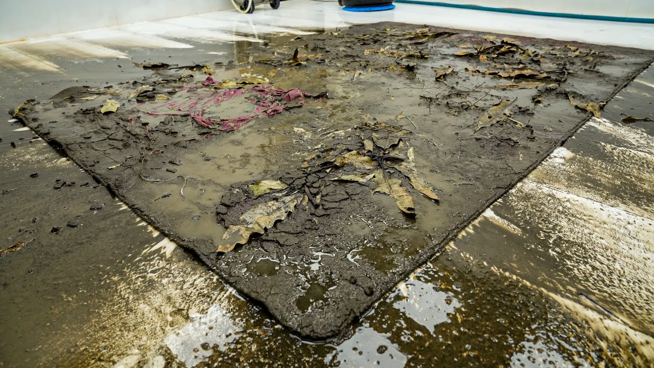It Looked Like Trash… But It Was a $20,000 Rug - Satisfying Video, ASMR Cleaning