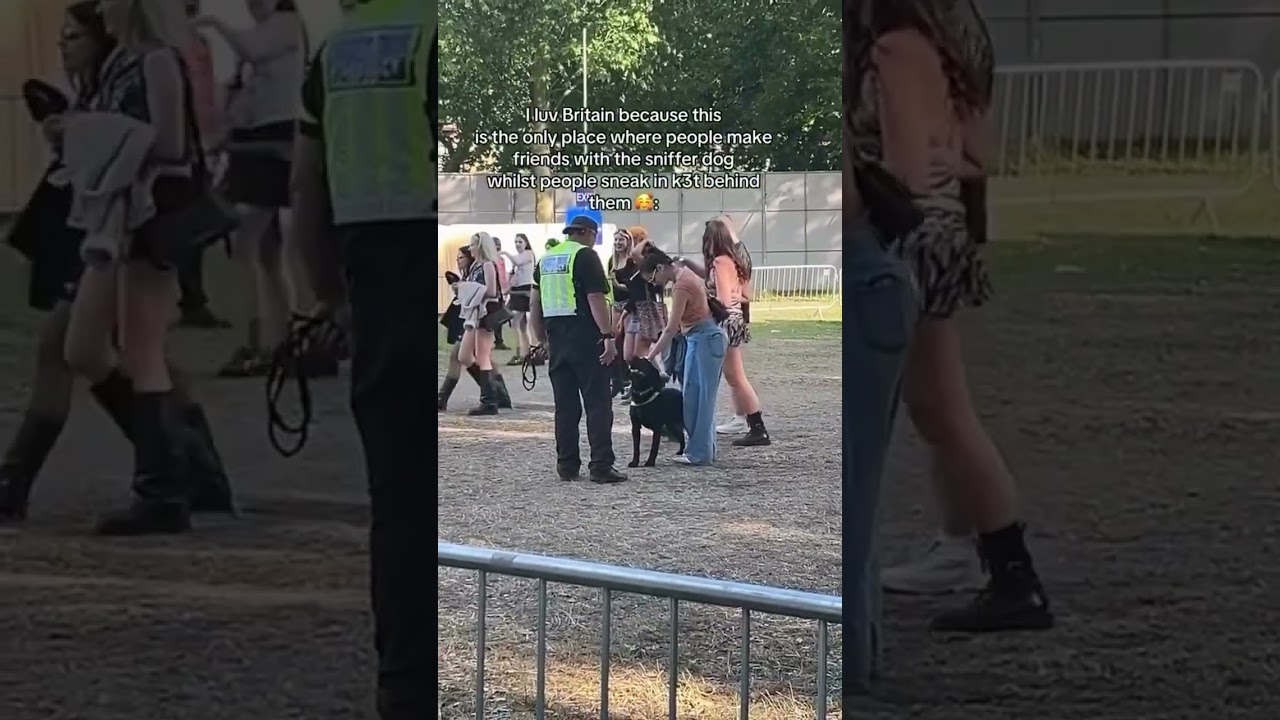 The things you see at UK festivals 🇬🇧 #housemusic #edm #rave #housemusiclovers #musicfestival
