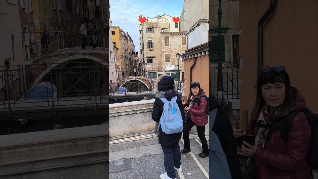 6 una bella passeggiata al centro storico di Venezia ❤️#puppy #youtubeshorts #pets #cute #dog #cani